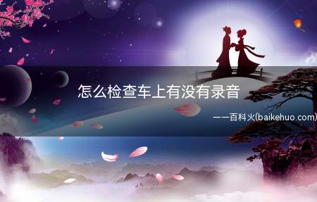 怎么检查车上有没有录音(台湾确保安U7L反窃听设备等型号)