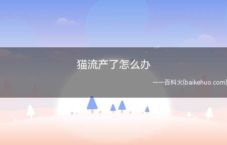猫流产了怎么办(猫咪如果是在一个月内的流产)