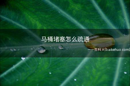 马桶堵塞怎么疏通(马桶堵住以后我们是不能再上厕所了)