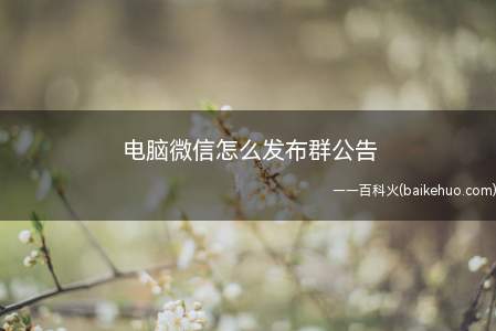 电脑使用微信时,群主要如何在群里发表公告,怎么发布群公告