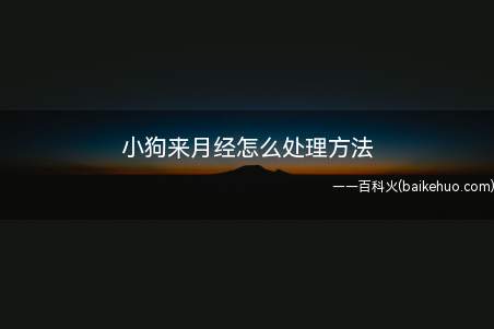 小狗来月经怎么处理方法(给小狗佩戴宠物专用生理裤)