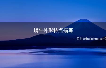 蜗牛外形特点描写:蜗牛有甲壳,形状像小螺,颜色多样化