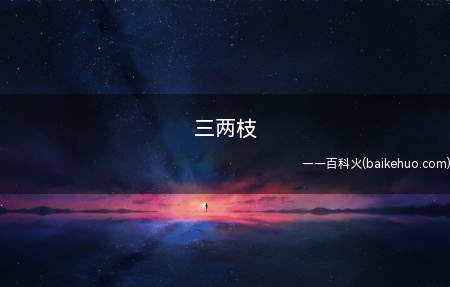 三两枝（“竹外桃花三两枝,春江水暖鸭先知”）