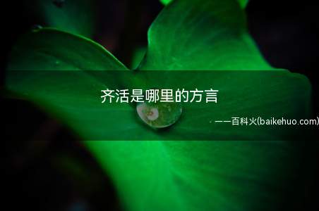 齐活是哪里的方言(中国人口中所称“方言”和“语言”的区别)
