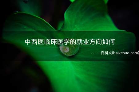中西医临床医学的就业方向如何