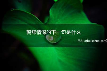 鹣鲽情深的下一句是什么