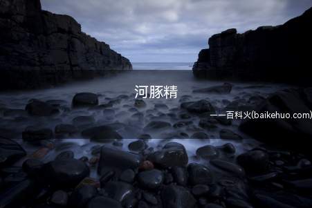 河豚精是什么梗(河豚精是什么意思什么梗 河鲀精梗的出处介绍)