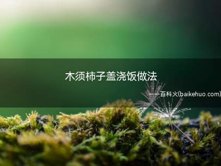 木须柿子盖浇饭,茄科番茄属植物,原产南美洲,现全世界广泛栽培
