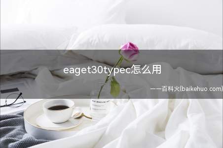 eaget30typec怎么用(Type)