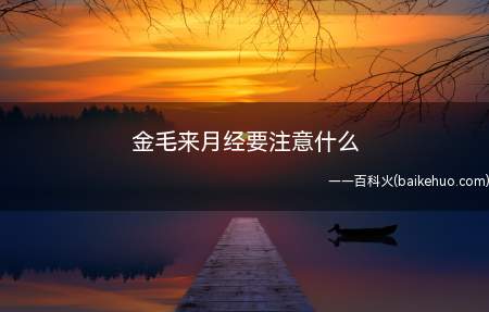 金毛来月经要注意什么(金毛犬来月经时要注意什么)