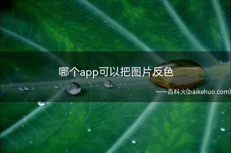 哪个app可以把图片反色（华为p40pro,iPhone12,小米11）