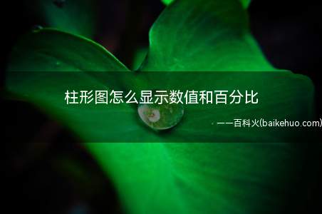 柱形图怎么显示数值和百分比(excel文档中已经生成柱形图,但未显示数值和百分比)