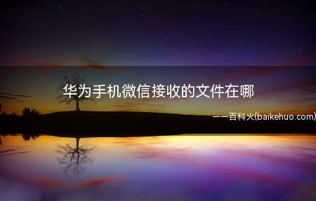 华为手机微信接收的文件在哪（华为手机接收文件在哪）
