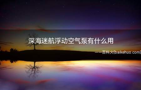 深海迷航浮动空气泵有什么用