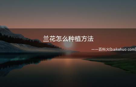 选盆在选择种植兰花的花盆时需要注意要悬着花盆透气好的瓦盆来种