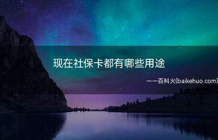 现在社保卡都有哪些用途(社保卡与身份证一样的用途)