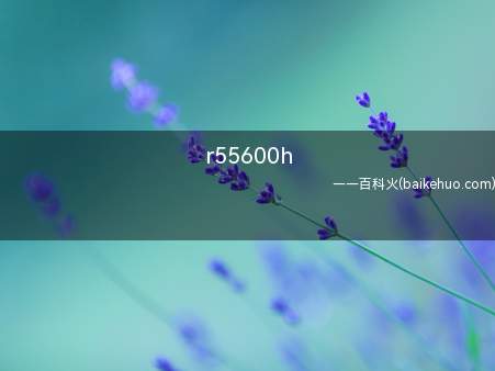 r55600h（联想thinkbook 14p系统）