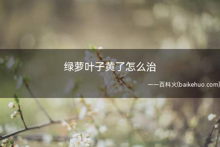 绿萝叶子黄了怎么治(绿萝叶子发黄可能是因为水质出现问题,及时给它换水)