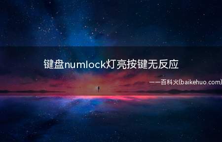 键盘numlock灯亮按键无反应（戴尔OptiPlex 3080系统）