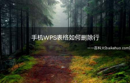 手机上用WPS同样可以像电脑一样删除行,统计表格资料里需要把