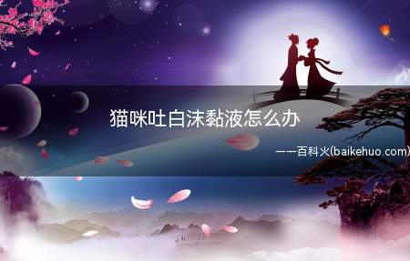 猫咪吐白沫黏液怎么办(给猫咪吃益生菌调理肠胃)
