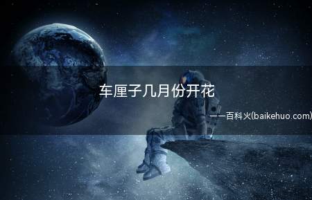 车厘子几月份开花(人工授粉,能提高授粉成功的几率,提高坐果率)