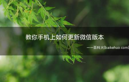 教你手机上如何更新微信版本