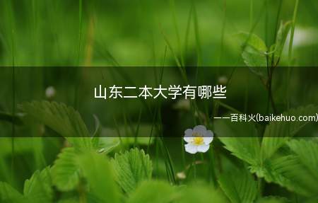 山东二本大学有哪些