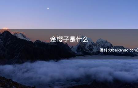 金樱子是什么(金樱子的提取液可杀死金黄色葡萄球菌及大肠杆菌)