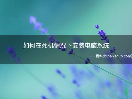 如何在死机情况下安装电脑系统(boot启动并安装系统)