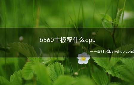 b560主板配什么cpu（win10b560主板配10代、11代酷睿i5及i7）