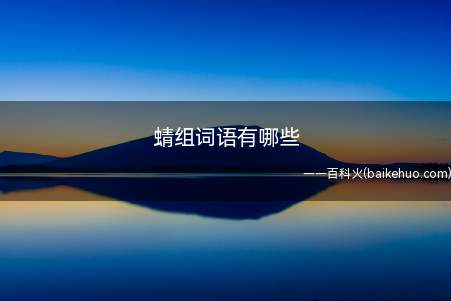 蜻组词语有哪些