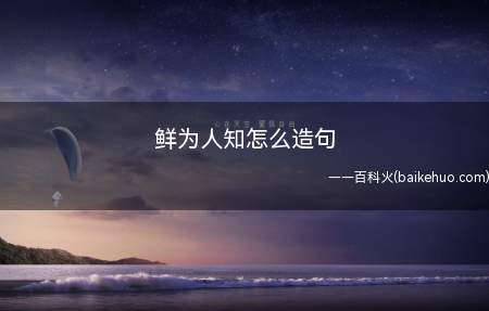鲜为人知怎么造句