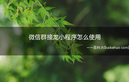 微信群接龙小程序怎么使用(微信小程序开发)