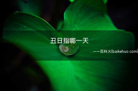 丑日指哪一天（丑日与天干相配后共有五个天干不同的丑日）