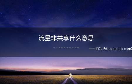 流量非共享什么意思(演示机型:Iphone 12)