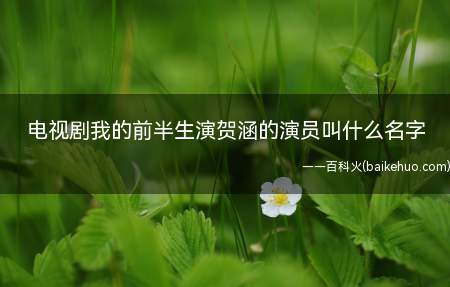 电视剧我的前半生演贺涵的演员叫什么名字(电视剧《我的前半生》中贺涵的饰演者是靳东)
