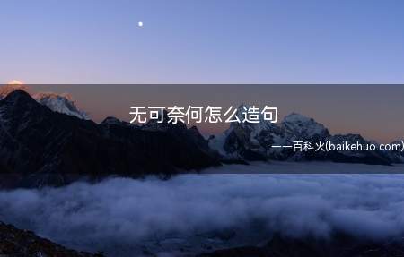 无可奈何怎么造句