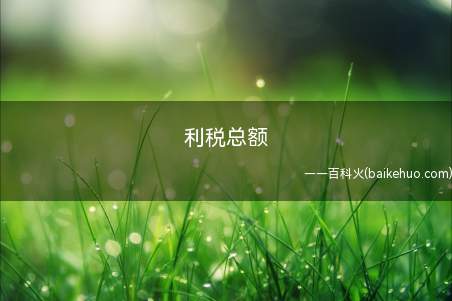 企业产品销售税金及附加、应交增值税、管理费用中税金和利润总额