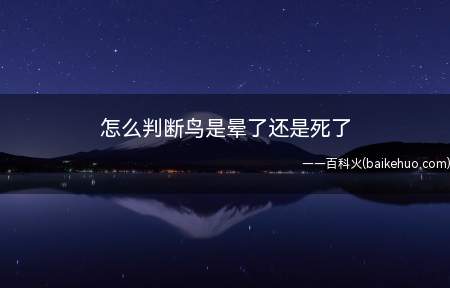 怎么判断鸟是晕了还是死了
