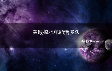 黄喉拟水龟能活多久