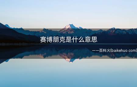 赛博朋克是什么意思