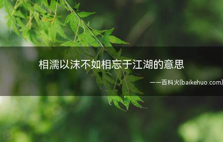 相濡以沫不如相忘于江湖的意思(“相濡以沫,不如相忘于江湖”)