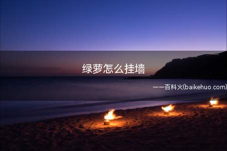 绿萝怎么挂墙(想要绿萝挂在墙上,可借助透明胶带)