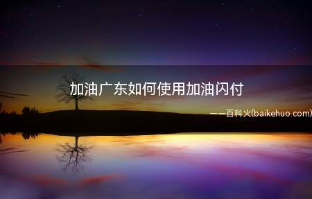 广东APP是石化加油用的,至于石油能不能用,你可以询问下工作