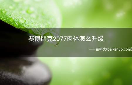 赛博朋克2077肉体怎么升级(赛博朋克2077肉体运动升级方法)