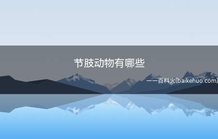 节肢动物有哪些