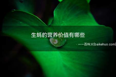 生蚝的营养价值有哪些