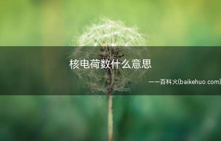 核电荷数什么意思(一个原子是由原子核和核外高速运动的电子所组成的)