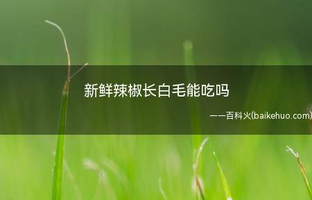 新鲜辣椒长白毛能吃吗(新鲜辣椒长白毛后,就不能吃了)